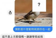 這答案…怎麼跟上次說好的不一樣?!