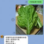 你知道甚麼菜有蟑螂味嗎?行家秒認出:這可是老一輩的美味極品阿!
