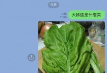 你知道甚麼菜有蟑螂味嗎?行家秒認出:這可是老一輩的美味極品阿!
