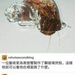 這想法要確定欸