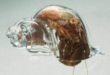 這想法要確定欸