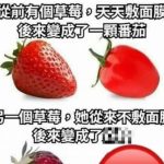 面膜的錢絕對不能省啊!