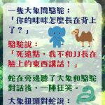 大象、駱駝和蛇,都五十步笑百步 …