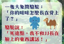 大象、駱駝和蛇,都五十步笑百步 …