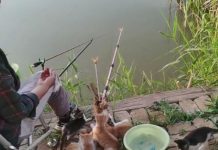 男子釣魚釣了3年,卻從沒拿過一條魚回家!因為身邊總有…