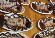 擺盤很重要!生鮮龍蝦變「巨型小強」 網見煮熟照更崩潰:拖鞋伺候