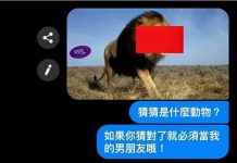 猜對了就要當我男朋友…沒想到對方竟然這樣回答!