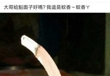 有節操一點啊蚊子大哥