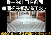 不移動、不打翻,如何離開杯水地獄?