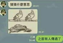 兩隻鴿子一隻羊 猜猜什麼意思~