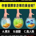 如果是你,會拿走哪缸黃金?