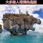 除了山還看到什麼?大多數人看到的是豬!