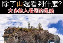 除了山還看到什麼?大多數人看到的是豬!