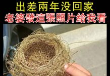 出差兩年沒回家,老婆發這張照片給我看?