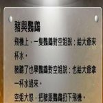 這個烏龜故事重點在下集