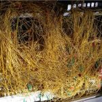 主管派他去整理電信箱雜亂的數據線,不料到了第九天後連強迫症的人都說好!