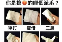 你們擦屁股是哪一派 右下最安全