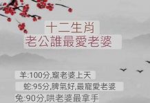 十二生肖老公誰最愛老婆?