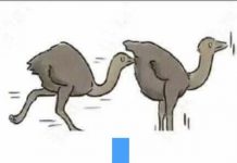 當一隻鴕鳥追撞前面的鴕鳥,會變成….