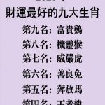 2025年財運最好的九大生肖