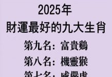 2025年財運最好的九大生肖