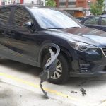 一早發現自己的車被拆成這樣,調監視器找出兇手….卻欲哭無淚!!