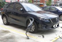 一早發現自己的車被拆成這樣,調監視器找出兇手….卻欲哭無淚!!