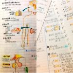 隔壁同學借去也抄不了的「神之筆記」!手繪全彩插圖「比教課書還猛」