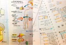 隔壁同學借去也抄不了的「神之筆記」!手繪全彩插圖「比教課書還猛」