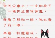 這條狗的女主人,竟然這麼失禮…