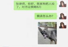 這下你完了
