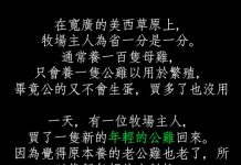 老公雞早有預謀…年輕公雞直接被秒殺