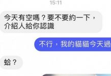 貓老大的生日最重要