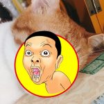 老媽緊張打電話來說「咪咪好像G掉了」,知道真相後大笑!