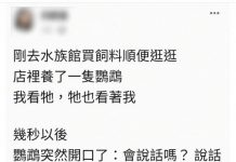 被鸚鵡嗆爆啊