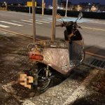 停路邊機車格…Gogoro慘遭「重新烤漆」!淪鳥界公廁「靠近細看」網震撼:太狠了