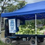 1個10元、3粒50!買高麗菜「結帳發現怪怪的」:我搞錯什麼? 網看完卻喊「老闆很佛心耶」