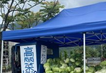 1個10元、3粒50!買高麗菜「結帳發現怪怪的」:我搞錯什麼? 網看完卻喊「老闆很佛心耶」