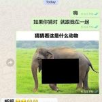 傻眼了…..