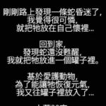 是補蛇還是補自己