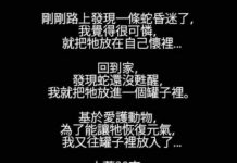 是補蛇還是補自己