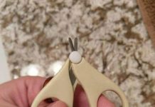 這麼短怎麼剪?他買剪刀「發現刀片僅1cm」傻眼想客訴 專業網友揭用途「真的超好用」:沒它不行