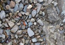 大家來找碴!她嚇到「差點踩到」 千人看到快瞎:究竟什麼?