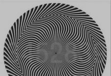 每個人看到的都不一樣!推特瘋傳「神秘錯覺圖」引熱議 背後原因「跟你的身體有關係」醫師解釋了