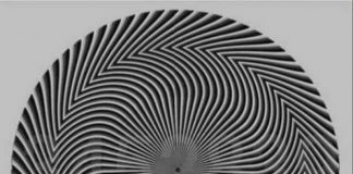 每個人看到的都不一樣!推特瘋傳「神秘錯覺圖」引熱議 背後原因「跟你的身體有關係」醫師解釋了