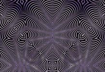 來看一張「眼花錯覺照」!一秒測出你的思考是「左腦or右腦」